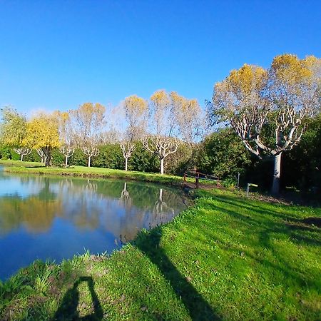 Domaine Du Lac De La Vallee La Roquette-sur-Siagne المظهر الخارجي الصورة