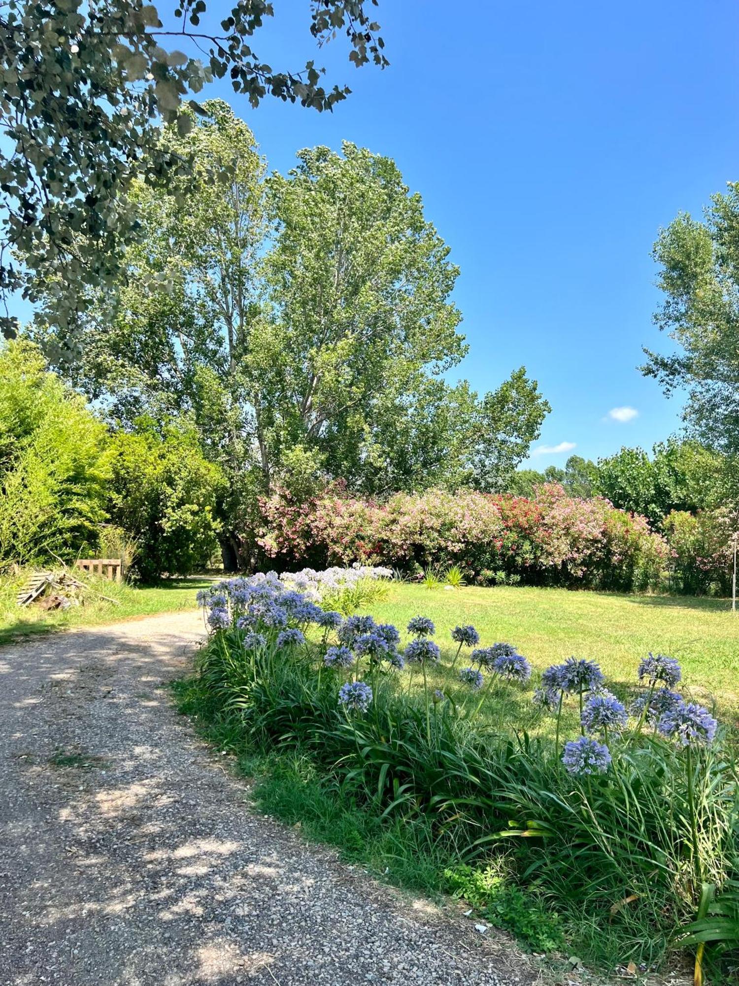 Domaine Du Lac De La Vallee La Roquette-sur-Siagne المظهر الخارجي الصورة